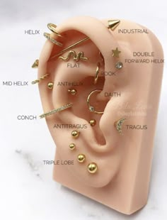 an ear with different types of piercings on it