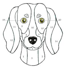 a drawing of a dog's face with numbers on the front and back side