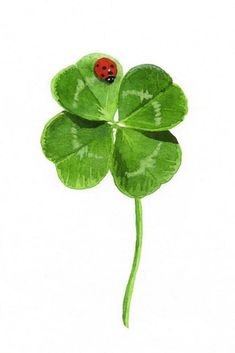 a four leaf clover with a ladybug sitting on it's back end