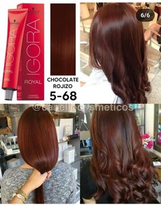 Igora Vibrance, Hair Color Placement, Hair Color Mahogany, Black Hair Balayage, Korean Hair Color, Beauty Hair Color, Cabello Hair