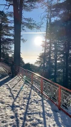 the sun is shining through the trees in the snow