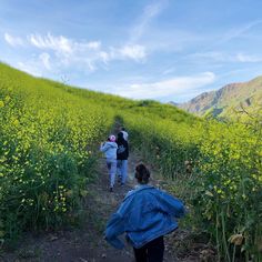 three people walking up a hill with yellow flowers