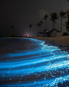 the beach is lit up with blue lights and palm trees in the background at night