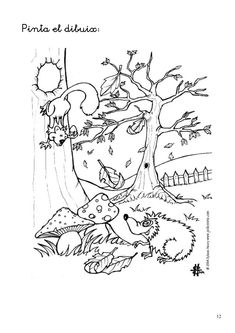 a coloring page with an image of a squirrel and a tree in the background, which is