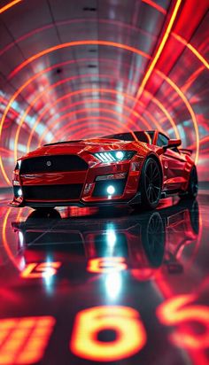 ford mustang gt wallpaper #nustang #cars #wallpaper @DreamCars103 Ford Mustang Gt Wallpaper, Mustang Gt Wallpaper, Gt Wallpaper, Cars Pictures, Cars Wallpaper, Cool Car Pictures, Ford Mustang Gt, Picture Collection, Mustang Gt