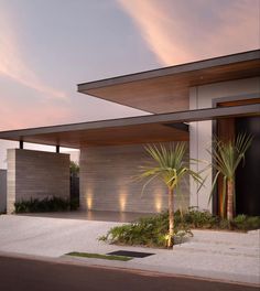 a modern house with palm trees in the front yard