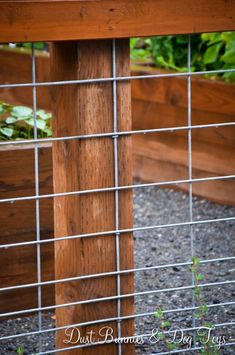 a wooden bench sitting next to a wire fence with plants growing on top of it