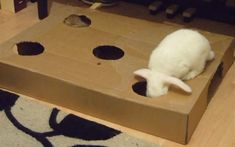 a white cat sitting in a cardboard box with holes on the floor next to it