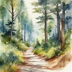 a watercolor painting of a path in the woods