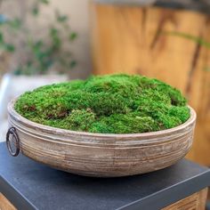 Moss Bowl, Plant Jungle, Creative Planter, Table Counter, Bowl Planter, Stone Vase, Centerpiece Bowl, Green Living, Plant Care