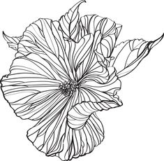 a black and white drawing of a flower