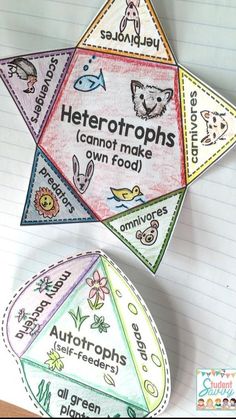 three paper pyramids with the words heterotrophs can not make own food