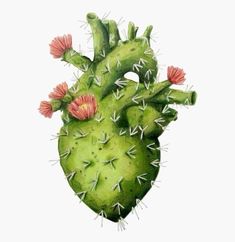 a drawing of a heart shaped cactus with pink flowers on it's back end