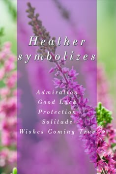 a purple flower with the words, weather symbolizes