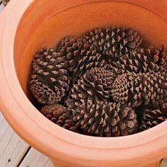 a large pot filled with lots of pine cones