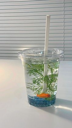 a plastic cup filled with water and an orange fish in the bottom, sitting on a table