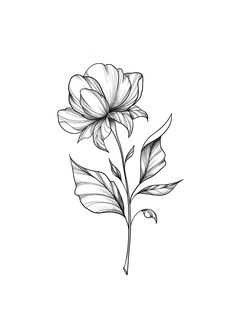 Leaf Tattoo Design, Flor Tattoo, Floral Tattoo Shoulder, Tattoo Apprenticeship, Light Tattoo, Flower Mural, Peony Art, Flower Line Drawings, Hip Tattoos Women