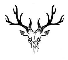 a black and white drawing of a deer's head with antlers on it