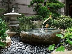 a garden with rocks, plants and a water feature in the foreground is a bonsai tree