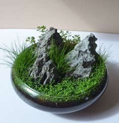 rocks and grass in a glass bowl on a table