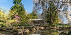 a pond surrounded by rocks and trees with a small building in the background on a sunny day