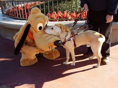 a dog is sniffing the nose of a large stuffed animal that's being held by a man