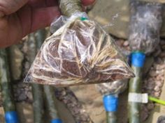 a person holding up a plastic bag with toothbrushes in it next to some trees