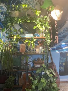 a room filled with lots of green plants and potted plants on top of shelves