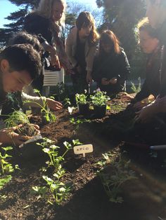 several people are working in the garden with plants and seed boxes on the ground while others look at them