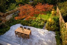 Privacy and garden screening in an urban garden by Studio Cullis Block Of Flats, Garden Screening, Garden Architecture, Deciduous Trees