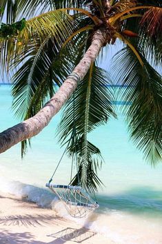 a hammock hanging from a palm tree on the beach with clear blue water