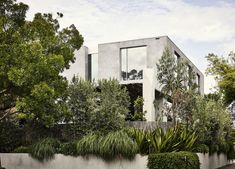 the house is surrounded by trees and bushes