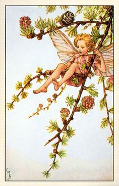 a fairy sitting on top of a tree branch