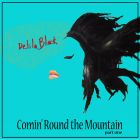 an image of a book cover with the title'comin round the mountain '