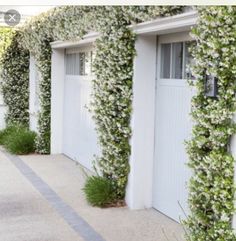 a white building covered in vines and flowers