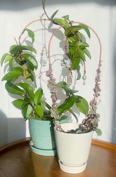 two potted plants sitting on top of a wooden table