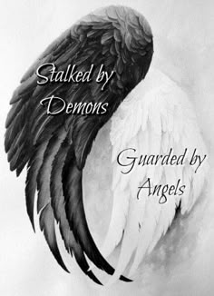 an image of a black and white bird with the words, stalking by demons guarded by angels