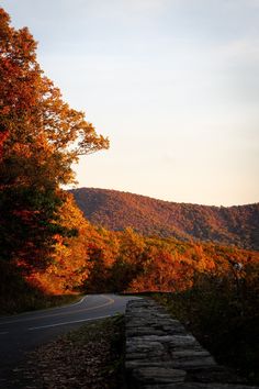 an empty road surrounded by trees with fall foliage on the hillsides in the background