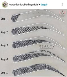 the different types of eyebrows are shown