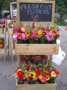 fresh cut flowers for sale at the farmer's market