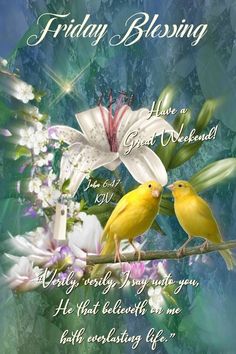 two yellow birds sitting on top of a tree branch next to white and pink flowers