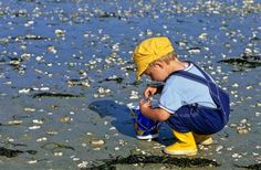 a little boy in yellow hat and blue overalls playing with plastic cups on the beach