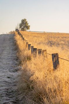 an empty road in the middle of a field with tall grass and barbed wire fence