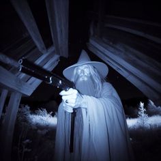 Trail Cam, Gandalf, The Wizard, Funny Animal, Wizard, Halloween Costumes, Dress Up, Halloween, Funny