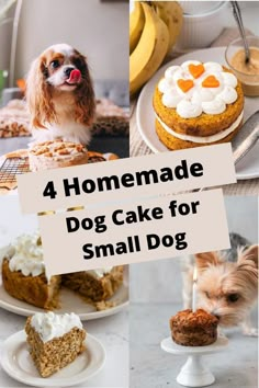 four homemade dog cake for small dogs with text overlay that reads, 4 homemade dog cake for small dogs