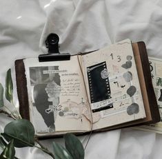 an open book sitting on top of a bed next to a leafy green plant