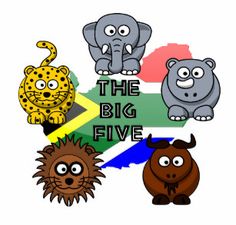 the big five animals are grouped together