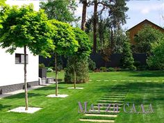 an image of a garden with trees and grass