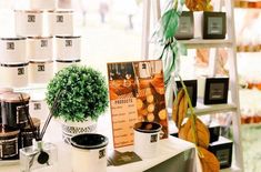 there is a small potted plant on the table next to some coffee mugs