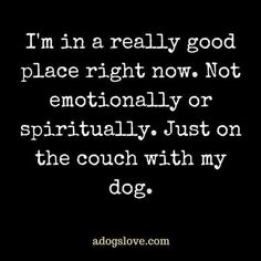 Dogs Quotes, Happy National Dog Day, Now Quotes, Animal Quotes, Dog Quotes, Training Tips, My Dog, I Love Dogs